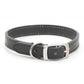 black leather ancol dog collar